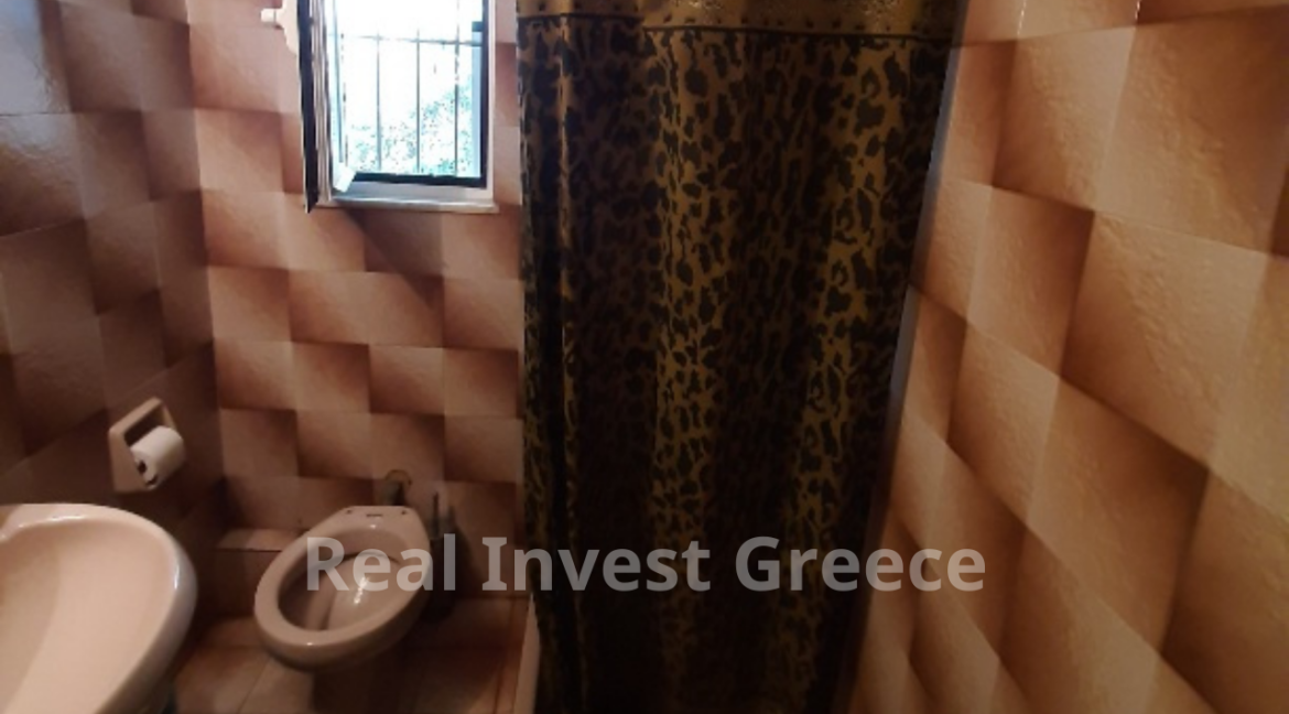Real Invest Greece (10)